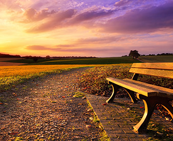 Park bench and sunset